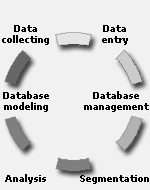 Colectare informatii & management